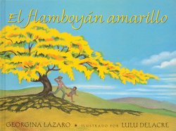 El Flamboyan Amarillo (Yellow Flame Tree)