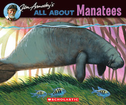 All About Manatees