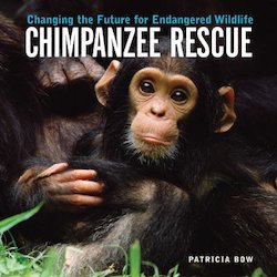 Chimpanzee Rescue: Changing the Future for Endangered Wildlife