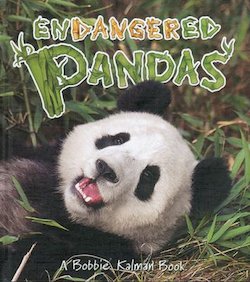 Endangered Pandas