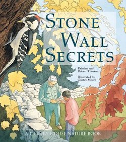 Stone Wall Secrets