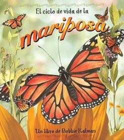 El Ciclo de Vida de la Mariposa (Life Cycle Of A Butterfly)