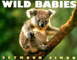 Wild Babies