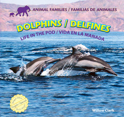 Dolphins: Life in the Pod = Delfines: Vida en la Manada