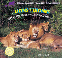 Lions: Life in the Pride = Leones: Vida en la Manada