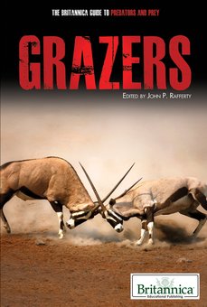 Grazers