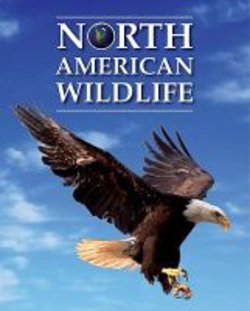 North American Wildlife