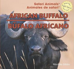 African buffalo = Bufalo africano