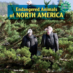 Endangered Animals of North America - Perma-Bound Books