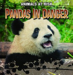 Pandas in Danger