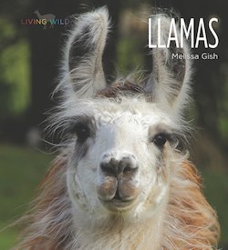 Llamas