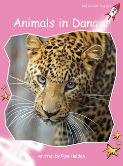 Animals in Danger