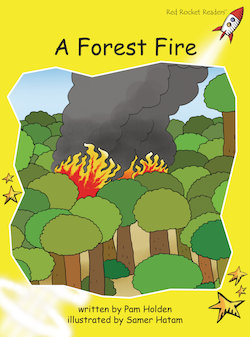 A Forest Fire