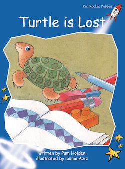 Turtle Is Lost