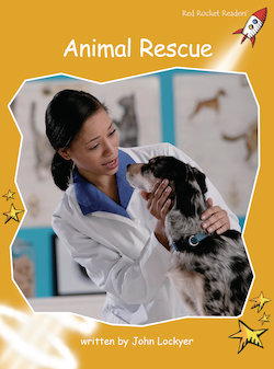 Animal Rescue: US English Edition