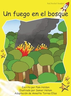 Un fuego en el bosque: A Forest Fire