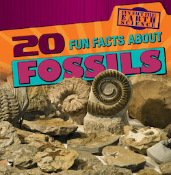 20 Fun Facts About Fossils - Perma-Bound Books