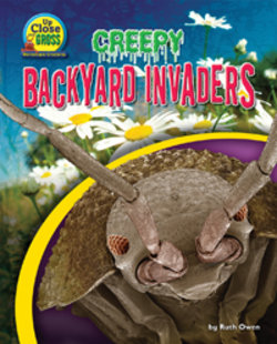 Creepy Backyard Invaders