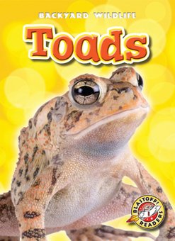 Toads