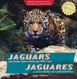 Jaguars and Other Latin American Wild Cats = Jaguares y otros felinos de Latinoamérica