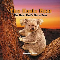 The Koala Bear