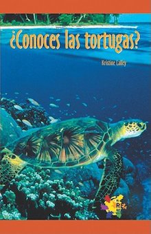 ¿Conoces las tortugas? (Tell Me About Turtles)