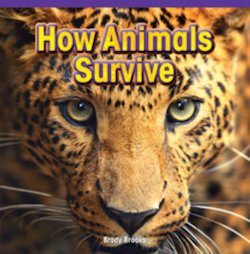 How Animals Survive