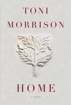 Home: A Novel