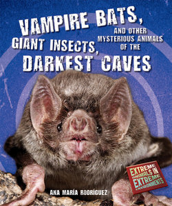 Vampire Bats, Giant Insects, and Other Mysterious Animals of the Darkest Caves