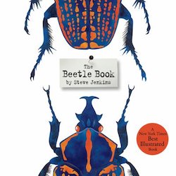 The Beetle Book