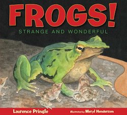 Frogs!