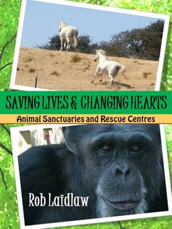 Saving Lives & Changing Hearts: Animal Sanctuaries and Rescue Centres