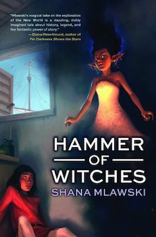 Hammer of Witches