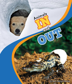 Animals in and Out