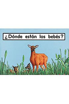 Dónde están los bebés? (Where are the Babies?)