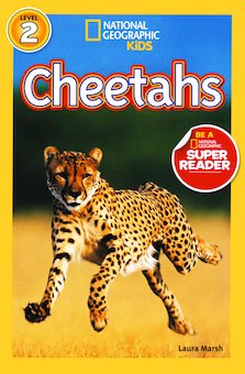 Cheetahs