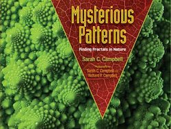 Mysterious Patterns: Finding Fractals in Nature