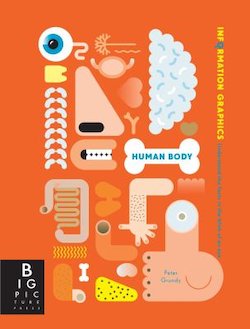 Human Body