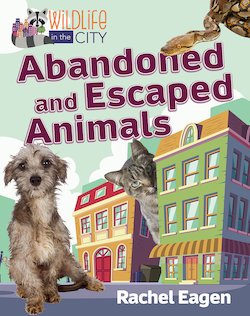 Abandoned and Escaped Animals