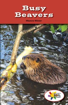 Busy Beavers