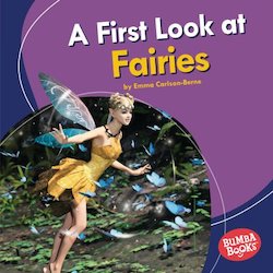 A First Look at Fairies