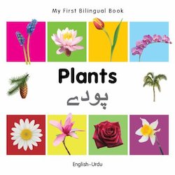 Plants (English-Urdu)