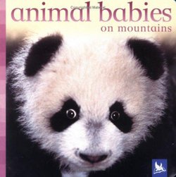 Animal Babies on Mountains