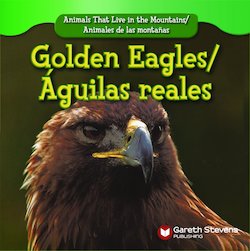 Golden eagles = aguila real