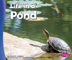 Life in a Pond