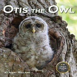 Otis the Owl