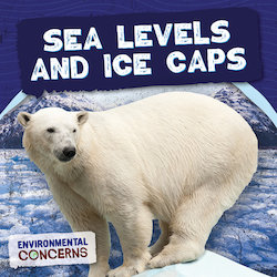 Sea Levels and Ice Caps