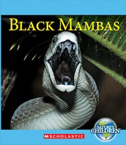 Black Mambas