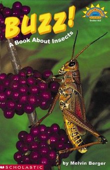 Buzz!: A Book About Insects