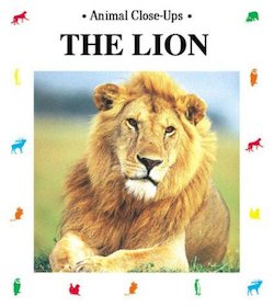 The Lion, King of the Beasts